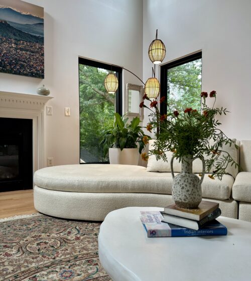 Modern Living room with an organic coffee table and sofa